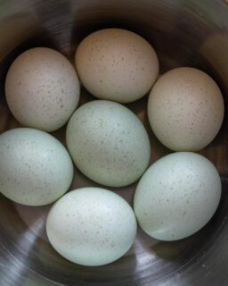 Most people panic when they see a high cholesterol number.

They get told it is dangerous, that they need to cut fat, eat oats, and take statins.

Total cholesterol alone means almost nothing.
What matters is what the body is doing with it.

If your triglycerides are high and HDL is low, that points to insulin resistance. The body cannot use fuel properly, so fat and sugar get trapped in the blood. That is when cholesterol markers become concerning.

But if your triglycerides are low, HDL is strong, CRP is low, and your energy, skin, and hormones are steady, then higher cholesterol can actually be a sign your body is rebuilding and running on clean fat for fuel.

Cholesterol is not the problem.
It is a responder, not a cause.
It rises when your body is repairing cells, fighting infection, or under stress.
It lowers when your body is inflamed, starving, or breaking down tissue.

The real red flags are rarely on the front page of the blood test.
Look deeper:
• Triglycerides to HDL ratio should be under 2
• Fasting insulin ideally under 6
• HbA1c around 5 or less
• CRP ideally under 1
These show how well your metabolism and inflammatory balance are working together.

If you are eating low fat, high carb foods trying to lower cholesterol, you might be driving those markers in the wrong direction.
That is why so many people with normal cholesterol still end up with heart problems. They fixed the number, not the cause.

So before fearing cholesterol, understand what it is trying to tell you.

It is not a threat. It is communication from your body.