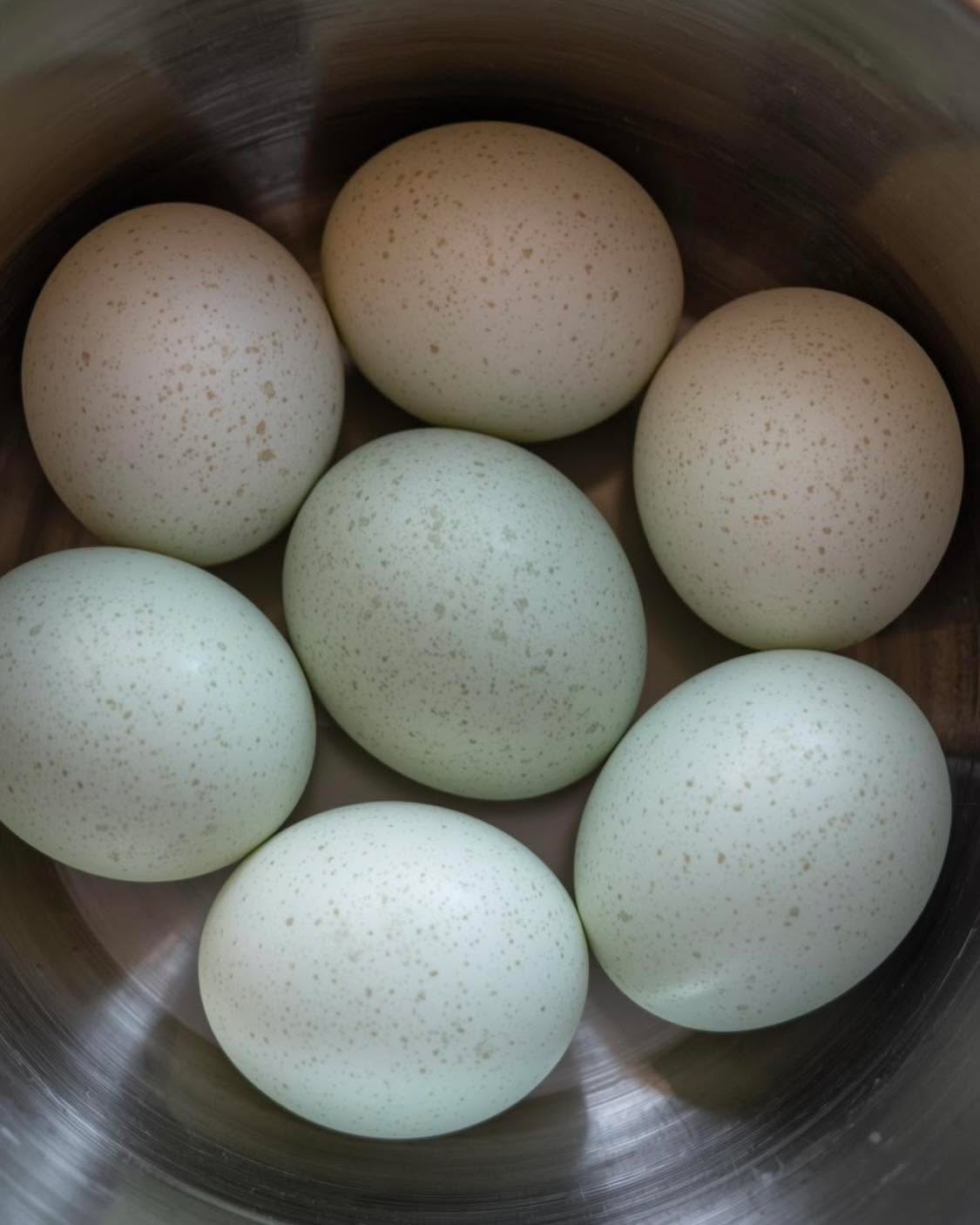 Most people panic when they see a high cholesterol number.

They get told it is dangerous, that they need to cut fat, eat oats, and take statins.

Total cholesterol alone means almost nothing.
What matters is what the body is doing with it.

If your triglycerides are high and HDL is low, that points to insulin resistance. The body cannot use fuel properly, so fat and sugar get trapped in the blood. That is when cholesterol markers become concerning.

But if your triglycerides are low, HDL is strong, CRP is low, and your energy, skin, and hormones are steady, then higher cholesterol can actually be a sign your body is rebuilding and running on clean fat for fuel.

Cholesterol is not the problem.
It is a responder, not a cause.
It rises when your body is repairing cells, fighting infection, or under stress.
It lowers when your body is inflamed, starving, or breaking down tissue.

The real red flags are rarely on the front page of the blood test.
Look deeper:
• Triglycerides to HDL ratio should be under 2
• Fasting insulin ideally under 6
• HbA1c around 5 or less
• CRP ideally under 1
These show how well your metabolism and inflammatory balance are working together.

If you are eating low fat, high carb foods trying to lower cholesterol, you might be driving those markers in the wrong direction.
That is why so many people with normal cholesterol still end up with heart problems. They fixed the number, not the cause.

So before fearing cholesterol, understand what it is trying to tell you.

It is not a threat. It is communication from your body.