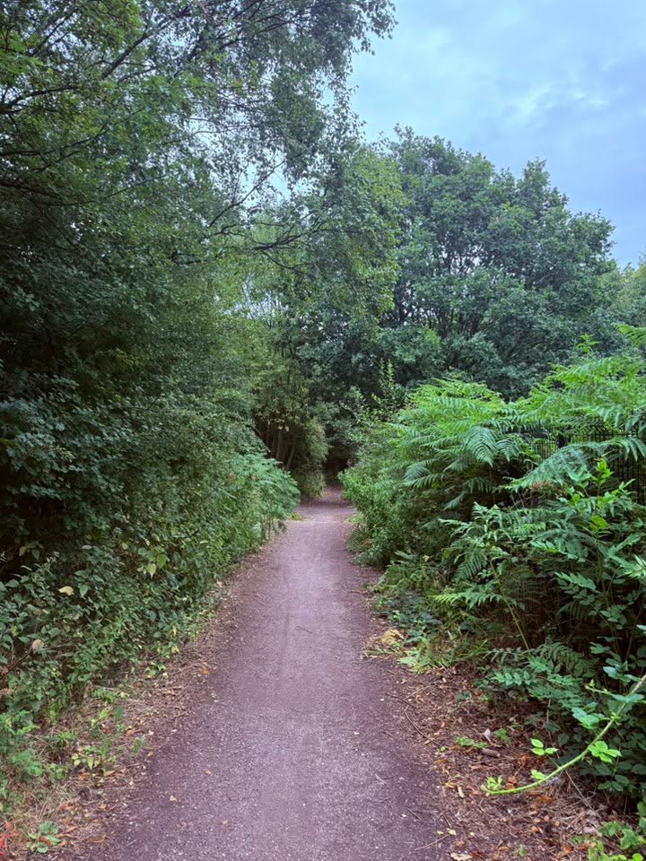 Our ancestors didn’t count calories.

They counted seasons.
They didn’t read labels.
They read the land.

Most people are disconnected.
And everything they told us to fear salt, meat, sunlight
was exactly what made us strong.