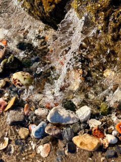 If plaque was just “too much cholesterol,” the story would be way simpler than it is. It’s more like the sea shaping pebbles, small hits, repeated for years.
Plaque looks more like a long term patch job. The inner lining gets irritated, the body lays down a tiny “scab” to protect the spot, and if that cycle repeats for years, the patch builds up.
Cholesterol shows up because it’s part of the transport and repair system, not the root cause.
Have you ever had blood results that didn’t match how healthy you felt?