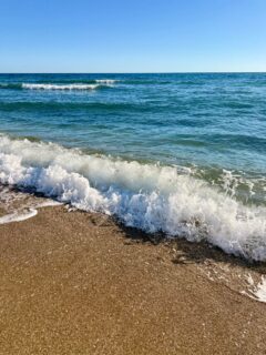 If you feel better near the sea, it’s not in your head.
Bright light, fresh air, and a long horizon tells your body, you’re safe.
That’s why your shoulders drop.
That’s why your breathing changes.
Do you feel your body switch on at the beach? Or do you prefer the mountains?
