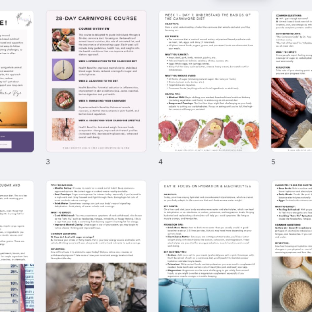 28 day carnivore protocol diet plan