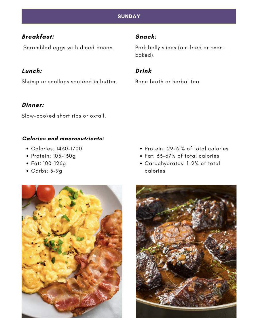 28 day carnivore protocol diet