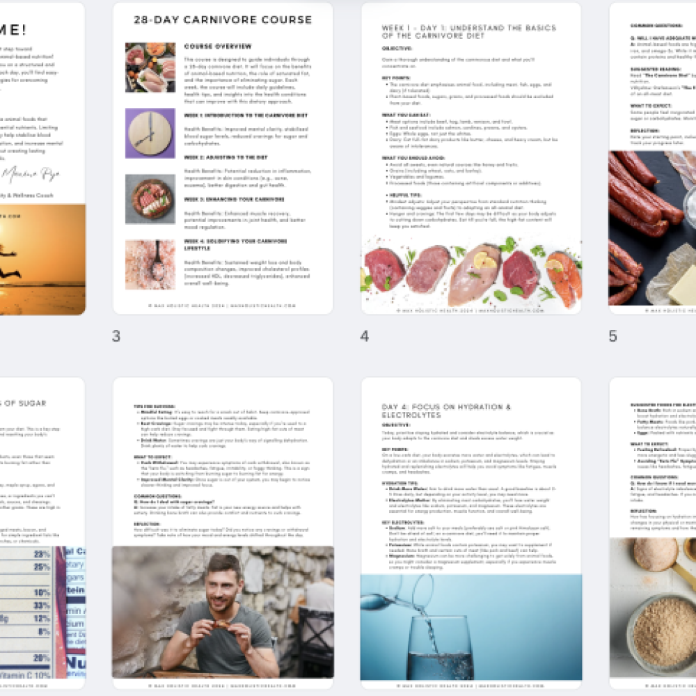 28 day carnivore protocol diet plan