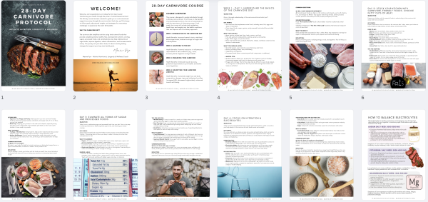 28 day carnivore protocol